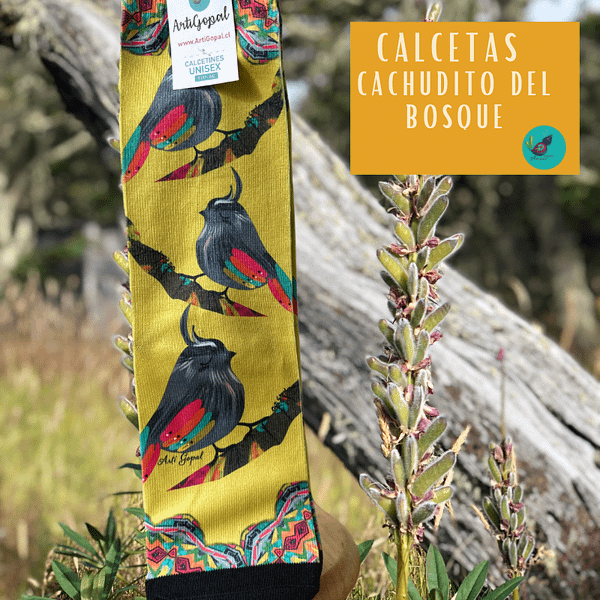 Cachudito del Bosque