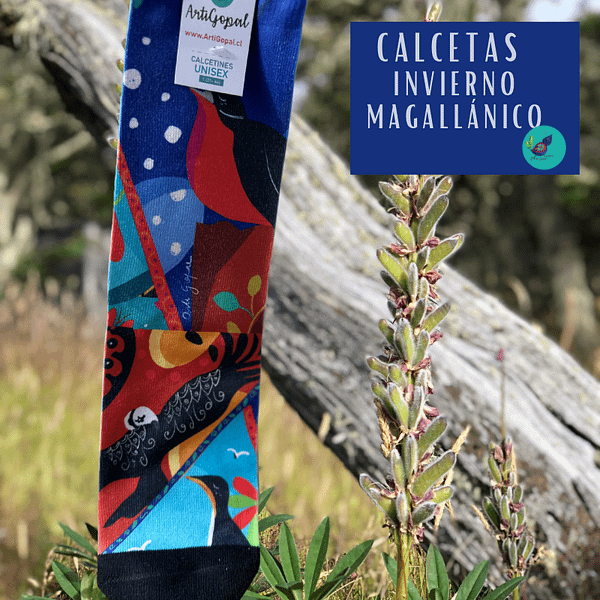 Invierno Magallánico