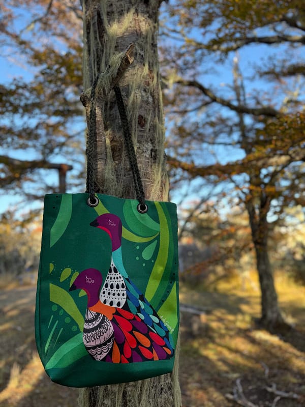 Bolso Lona Caiquenes
