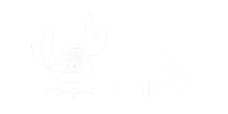 artigopal.cl